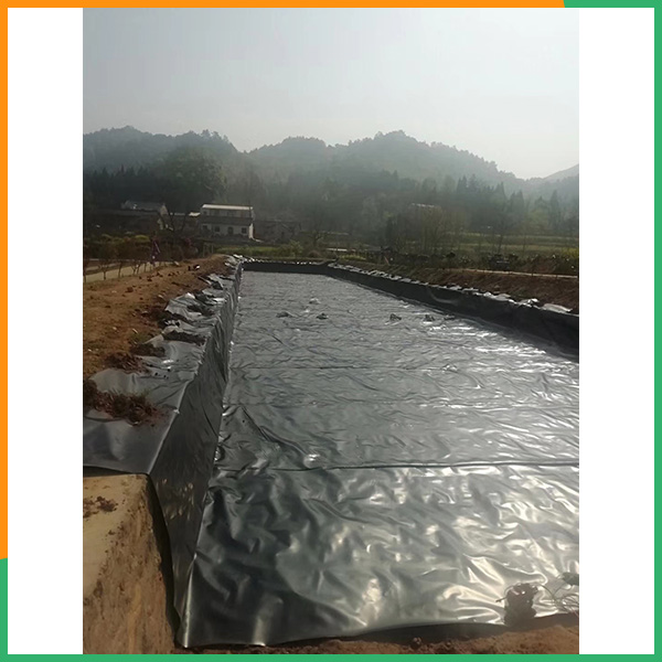 商丘防渗膜厚度可定制-天游ty8-沉淀池防渗膜厚度可定制